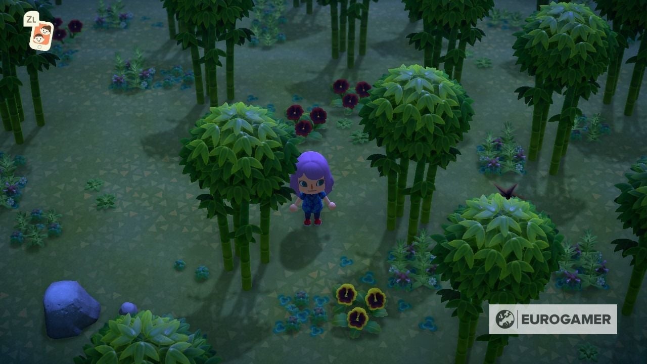 Animal Crossing Bamboo How to get Bamboo Pieces, Bamboo Shoots and